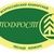 Региональный этап Всероссийского юниорского лесного конкурса «Подрост» 